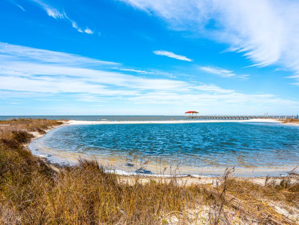 Alabama Beach Areas Home 1013230