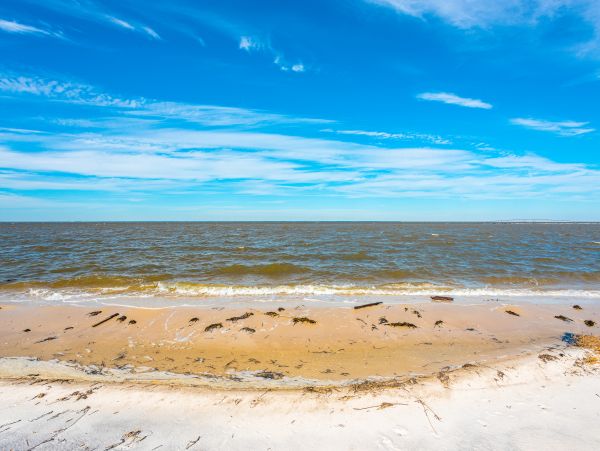 Alabama Beach Areas Home 1013230