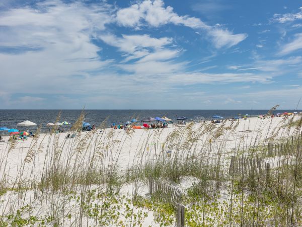 Alabama Beach Areas Home 1013240