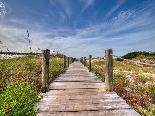 Alabama Beach Areas Home 1013250