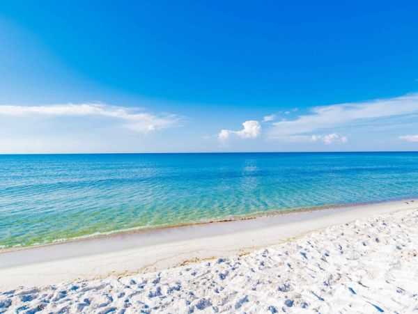 Beachfront 9 Bedroom Vacation Rental in Orange Beach