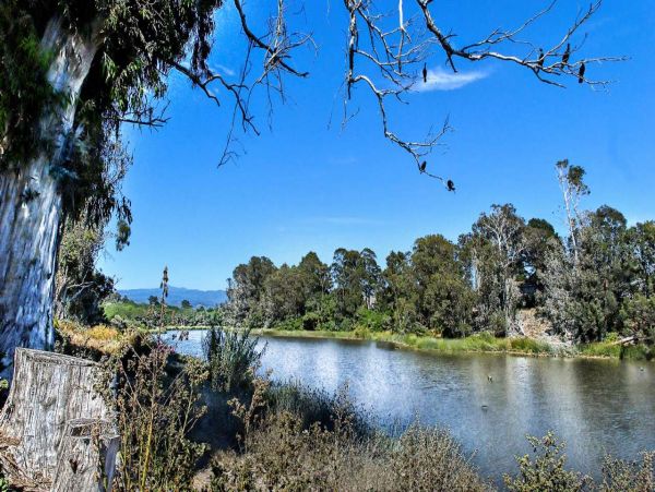 Santa Cruz County Home 1013284