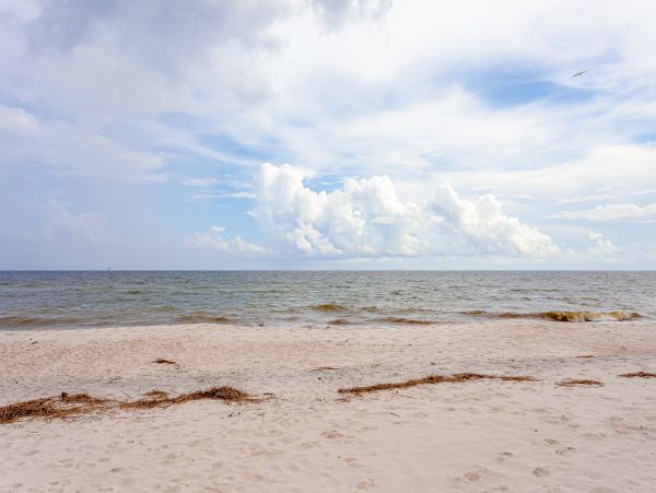 Alabama Beach Areas Home 1013300
