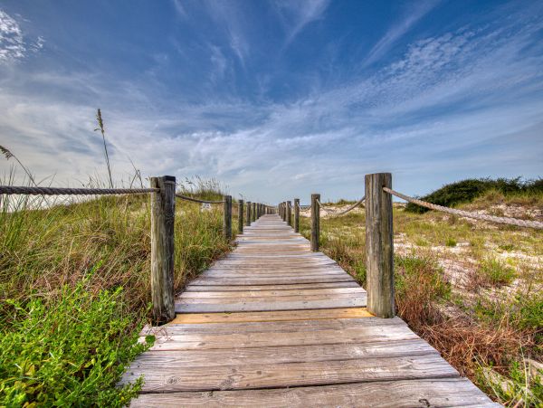 Alabama Beach Areas Home 1013318