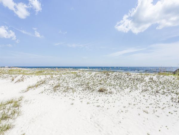 Alabama Beach Areas Home 1013361