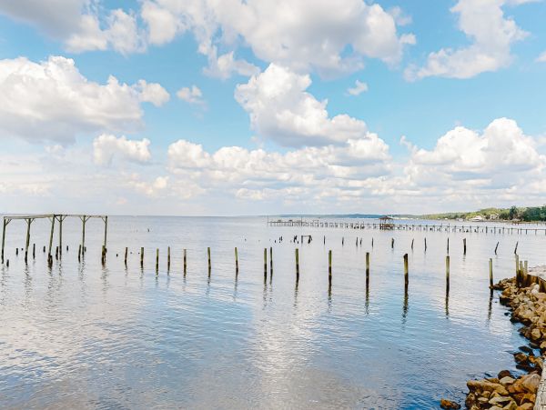 Alabama Beach Areas Home 1013387