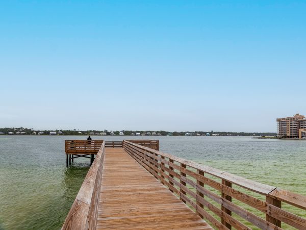 Alabama Beach Areas Home 1013419