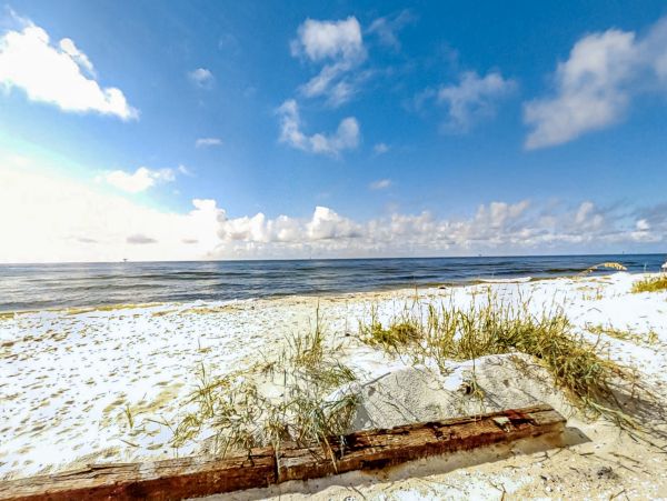 Alabama Beach Areas Home 1013420