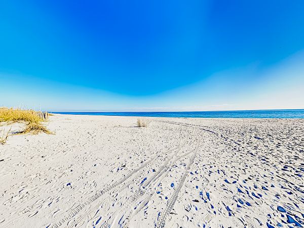 Alabama Beach Areas Home 1013438