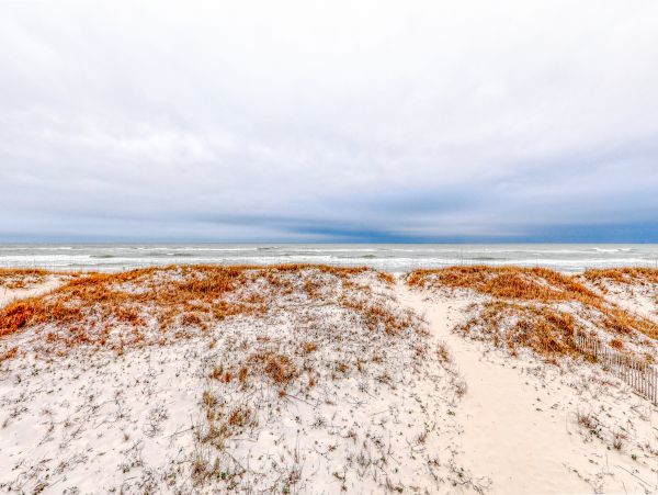 Alabama Beach Areas Home 1013459