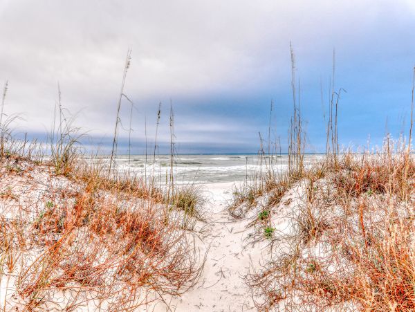 Alabama Beach Areas Home 1013459