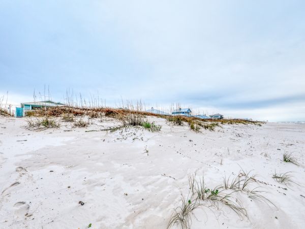 Alabama Beach Areas Home 1013459