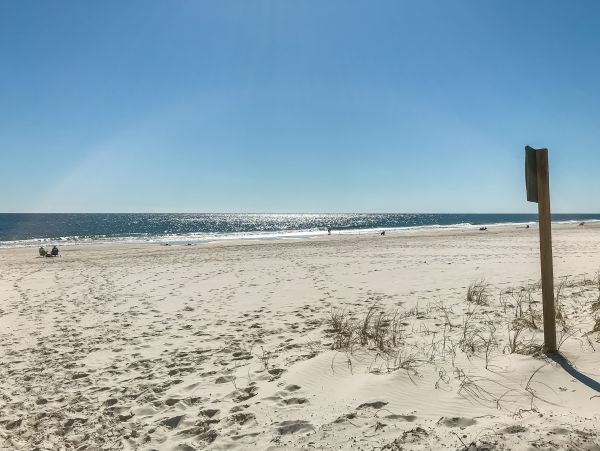 Alabama Beach Areas Home 1013497