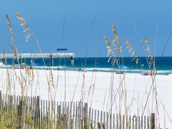 Alabama Beach Areas Home 1013513
