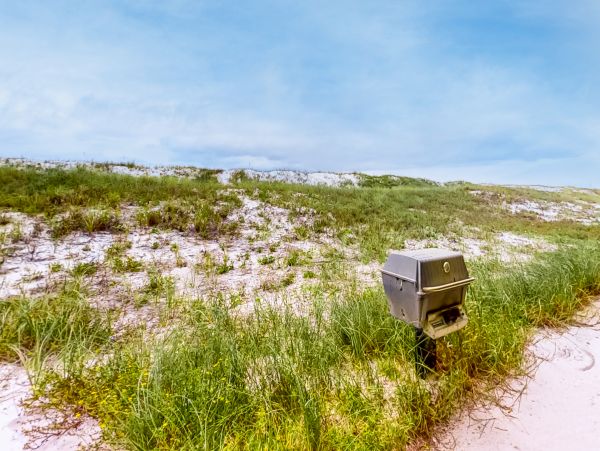 Alabama Beach Areas Home 1013570