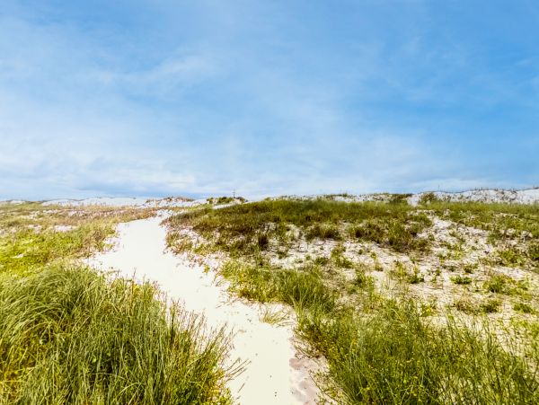 Alabama Beach Areas Home 1013570