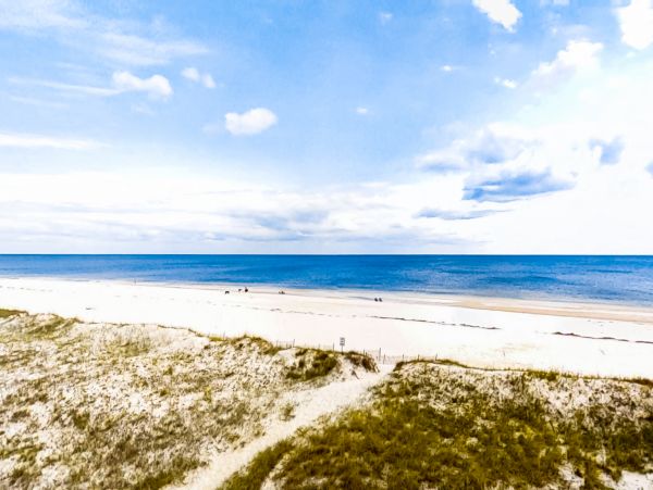 Alabama Beach Areas Home 1013570