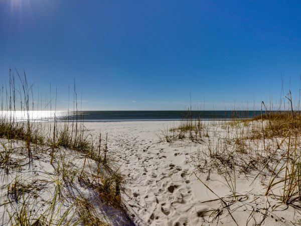 Alabama Beach Areas Home 1013581