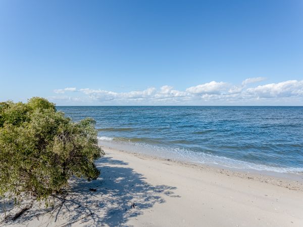 Alabama Beach Areas Home 1013586