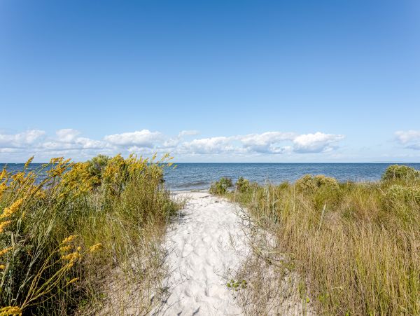 Alabama Beach Areas Home 1013586