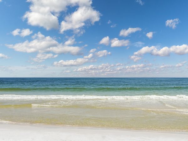Alabama Beach Areas Home 1013598