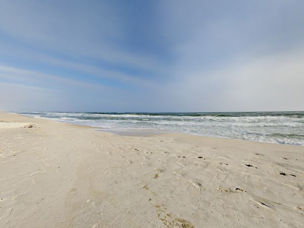 Alabama Beach Areas Home 1013599