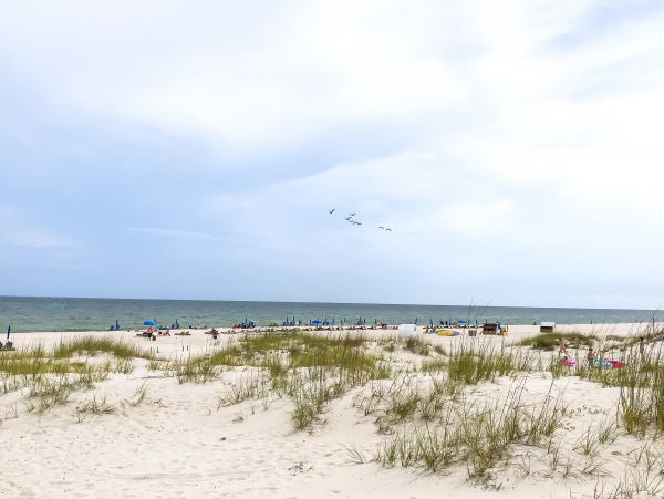 Alabama Beach Areas Home 1013600