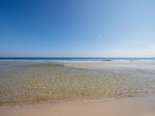 Alabama Beach Areas Home 1013601