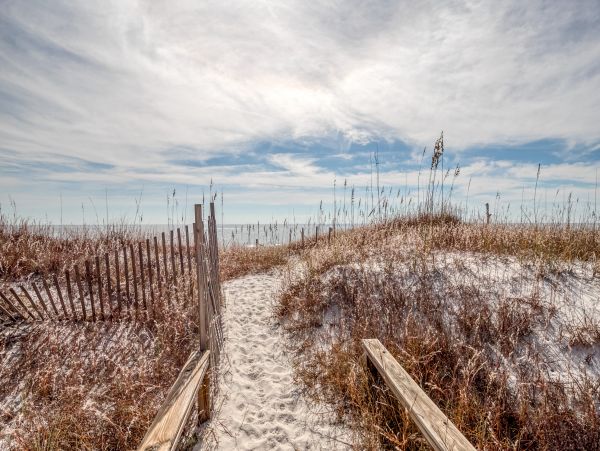 Alabama Beach Areas Home 1013604