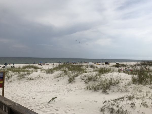 Alabama Beach Areas Home 1013609