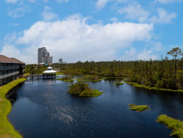 Alabama Beach Areas Home 1013630