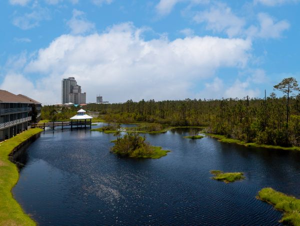 Alabama Beach Areas Home 1013635