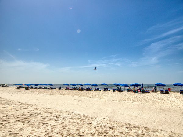 Alabama Beach Areas Home 1013637