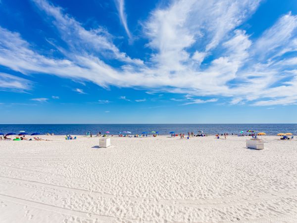 Alabama Beach Areas Home 1013653