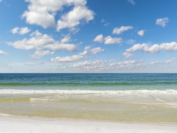 Alabama Beach Areas Home 1013667