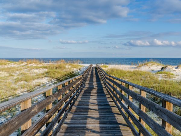Alabama Beach Areas Home 1013671