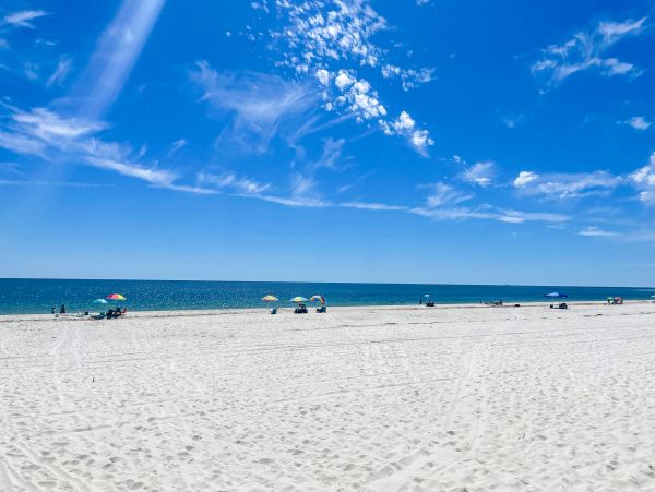 Alabama Beach Areas Home 1013684