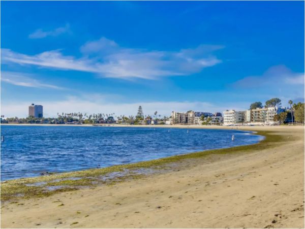 Mission Beach And Pacific Beach Condo 1013739