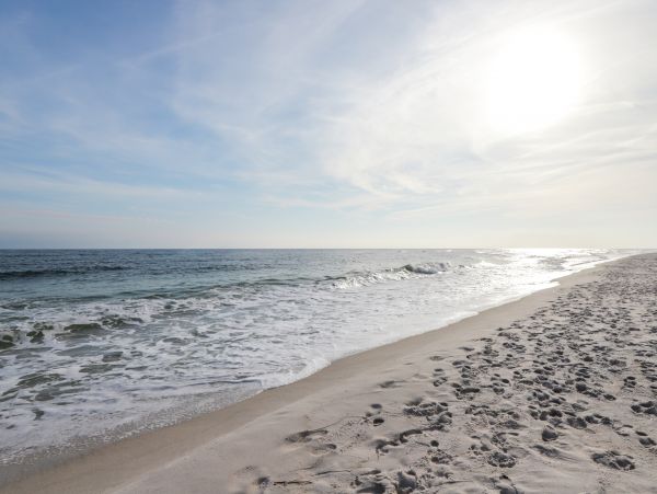 Alabama Beach Areas Home 1013745