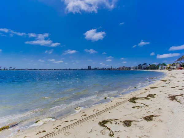 Mission Beach And Pacific Beach Condo 1013761