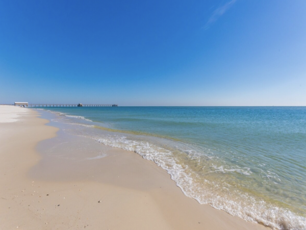 Alabama Beach Areas Condo 1013773