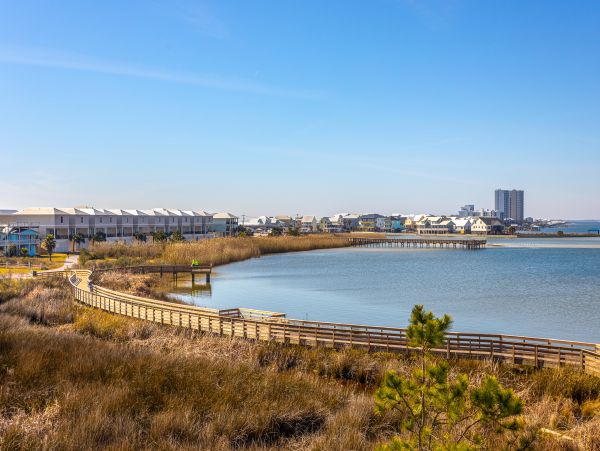 Alabama Beach Areas Home 1013786