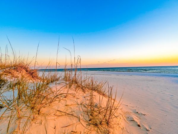Alabama Beach Areas Home 1013787