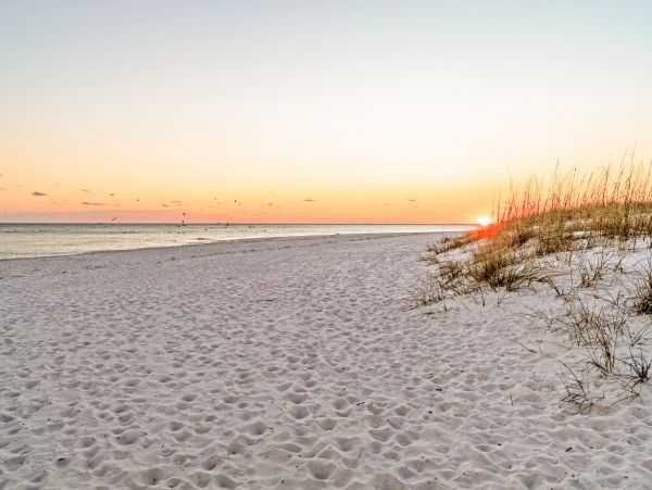 Alabama Beach Areas Home 1013787