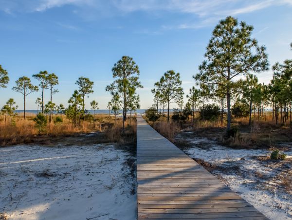 Alabama Beach Areas Home 1013790