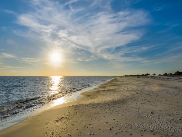 Alabama Beach Areas Home 1013790