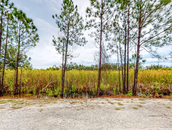 Alabama Beach Areas Home 1013822