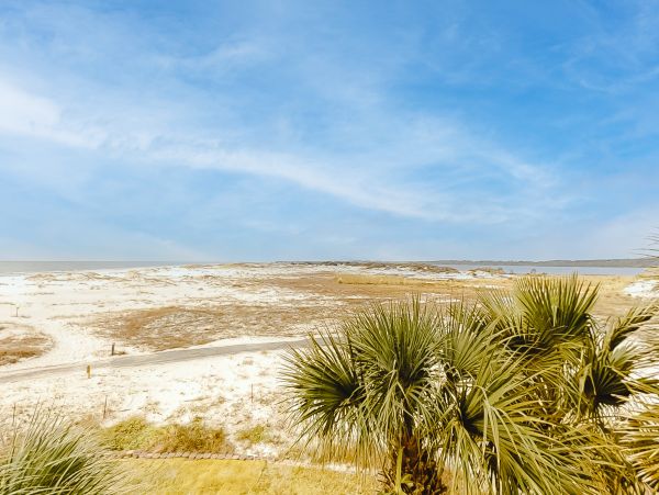 Alabama Beach Areas Home 1013830