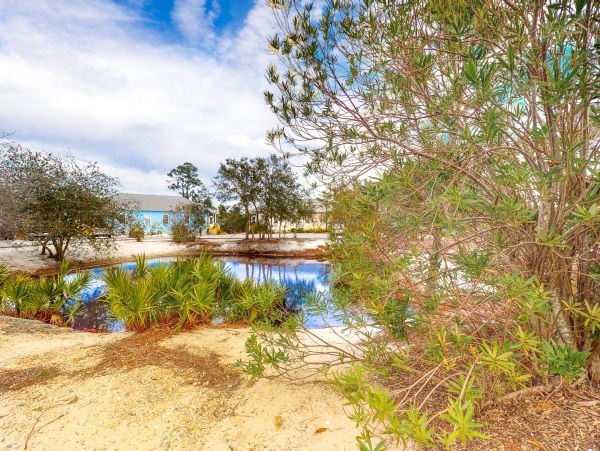 Alabama Beach Areas Home 1013846