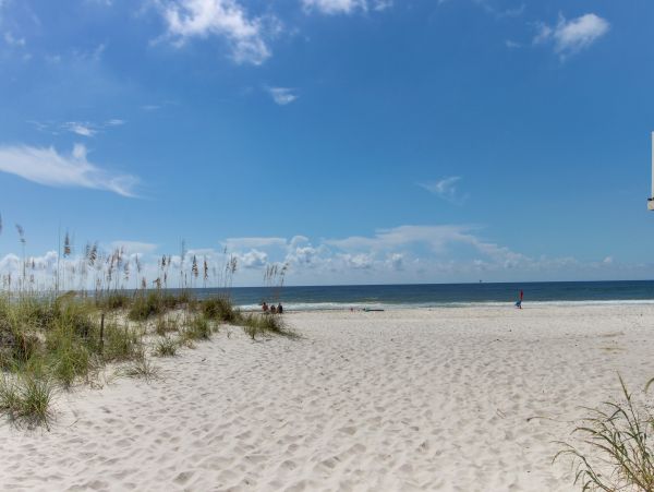 Alabama Beach Areas Home 1013846